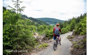 Green Trails Willingen Ruthenaar (3).jpg