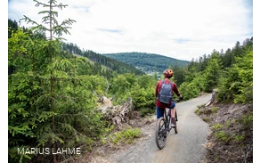 Green Trails Willingen Ruthenaar (3).jpg