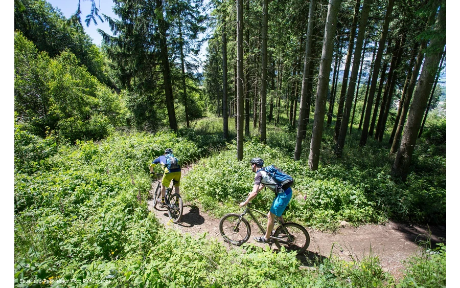 Fahrt durch den Trailground Brilon