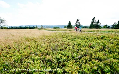 In der Hochheide-Landschaft des Kahlen Astens