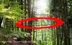 Station 8 - Feenkranz