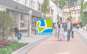 Blindbild_Shopping.jpg