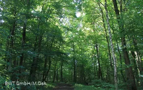 IMG_0925.JPG