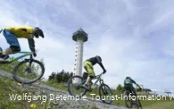 3 Mountainbiker beim rasanten Downhill