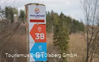 2354638