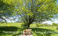 Trekkingplatz D3 - Rhenequelle bei Schweinsbühl