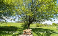 Trekkingplatz D3 - Rhenequelle bei Schweinsbühl