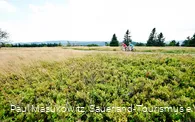 In der Hochheide-Landschaft des Kahlen Astens