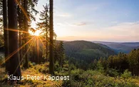 Aussicht am Rothaarsteig (c) Rothaarsteigverein e.V._Klaus-Peter Kappest.jpg