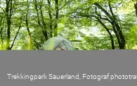 Trekkingplatz D2 -Waldkante bei Wirmighausen 