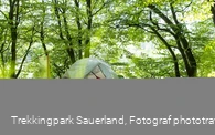 Trekkingplatz D2 -Waldkante bei Wirmighausen 