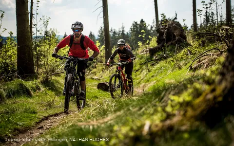 2 Mountainbiker fahren am Wald entlang