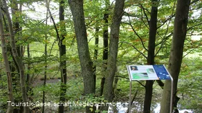 Infotafel 13 am Gewässerpfad Orke