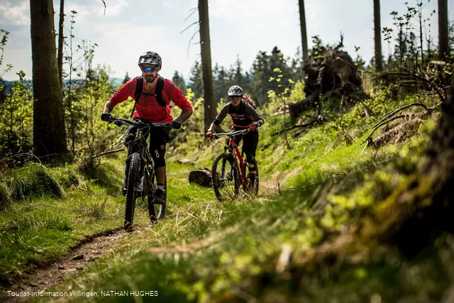 2 Mountainbiker fahren am Wald entlang