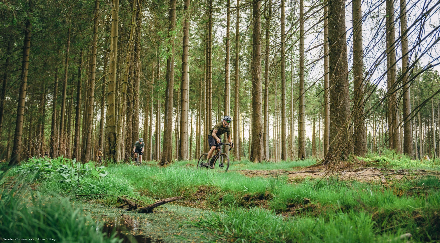 Gravelbiken fahren Singletrail
