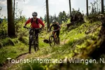 2 Mountainbiker fahren am Wald entlang