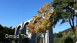 viadukt-oktober-2016 c) Ortrud Thiel.jpg