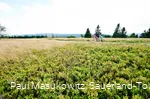 In der Hochheide-Landschaft des Kahlen Astens