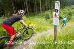Mountainbiker auf einem Trail im Trailpark Winterberg