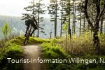Mountainbikerin auf Trail in Willingen 