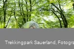 Trekkingplatz D2 -Waldkante bei Wirmighausen 