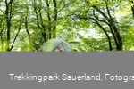 Trekkingplatz D2 -Waldkante bei Wirmighausen 
