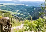 Geführte Biketour durch die naturreiche Region Willingens.