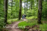 Green Trails Willingen Grosse Grube (3).jpg